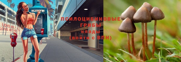 MESCALINE Покачи