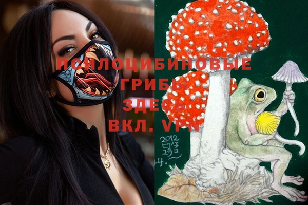 эйфоретик Беломорск