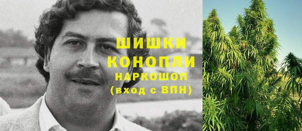 эйфоретик Беломорск