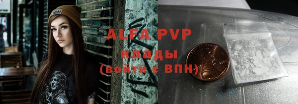 apvp Белокуриха
